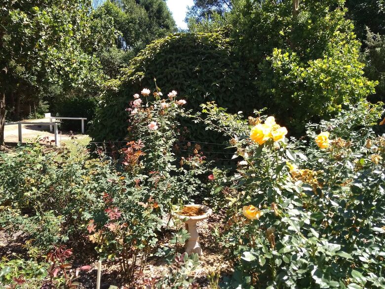 Bed & Breakfast Andelomi Nature's Rest