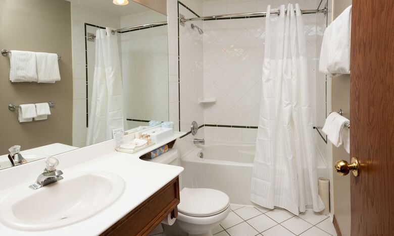 Hotel Whistler's Inn