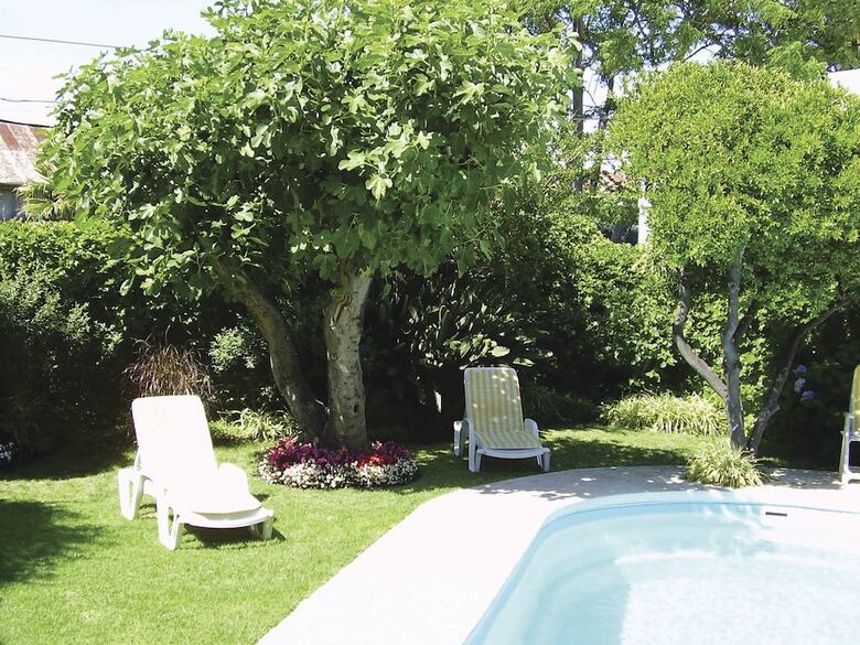 Bed & Breakfast Posada Del Angel