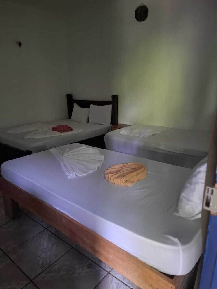 Bed & Breakfast Cabinas Tortuguero Natural