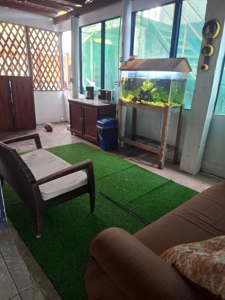 Bed & Breakfast Cabinas Tortuguero Natural