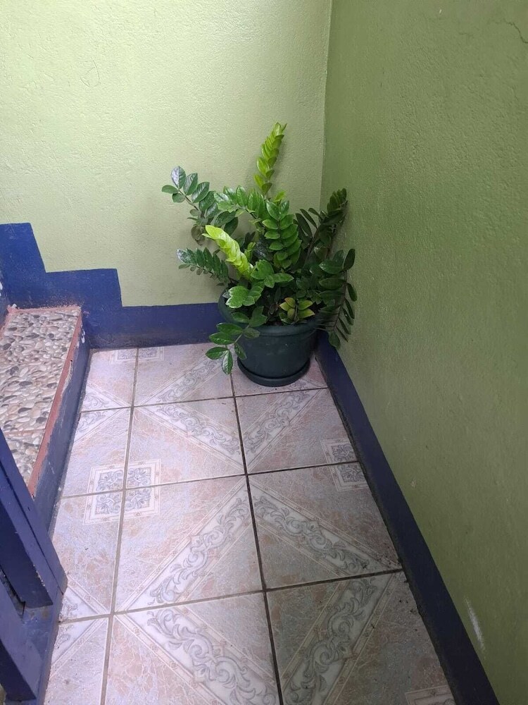 Bed & Breakfast Cabinas Tortuguero Natural