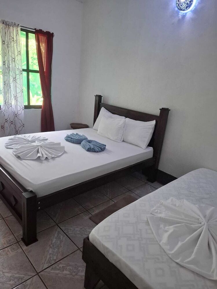 Bed & Breakfast Cabinas Tortuguero Natural