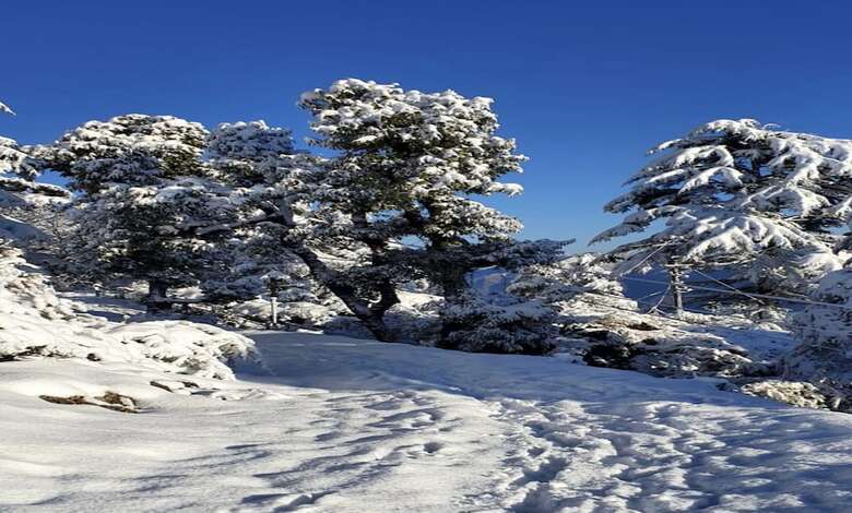 Hotel Kasana Club Mussoorie