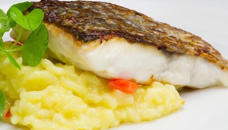 Ty'n Rhos Country House