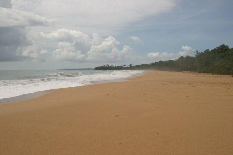 Bed & Breakfast Bluff Beach Retreat