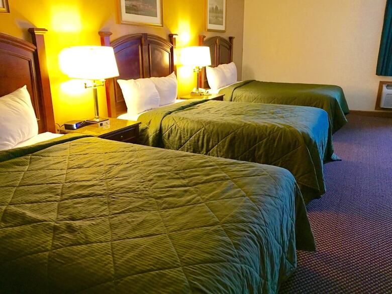 Hotel Executive Inn And Suites