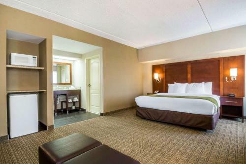 Hotel Comfort Suites Avenel