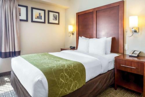 Hotel Comfort Suites Avenel
