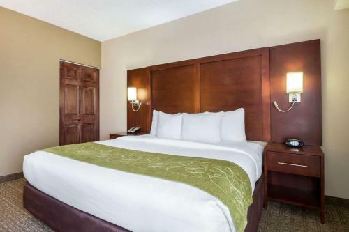 Hotel Comfort Suites Avenel