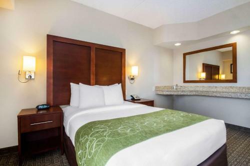 Hotel Comfort Suites Avenel