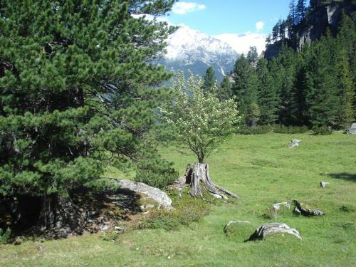 Hostal G�stehaus Rieser