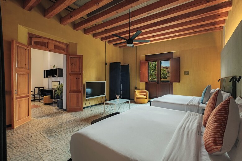 Hotel Pug Seal Oaxaca