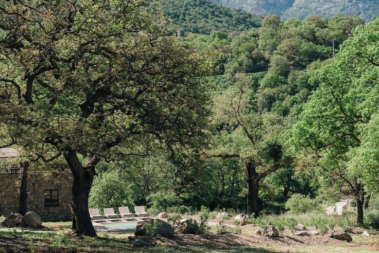 Domaine Acciola