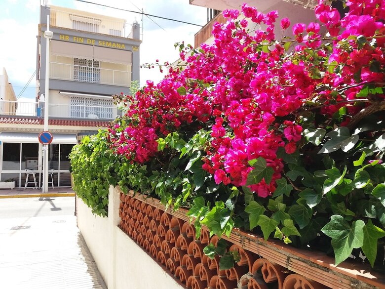 Hotel Fin De Semana