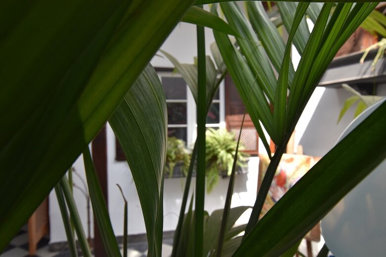 Aparthotel Gato Azul Coliving