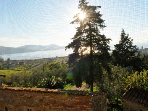 Lodge Nespolo Due