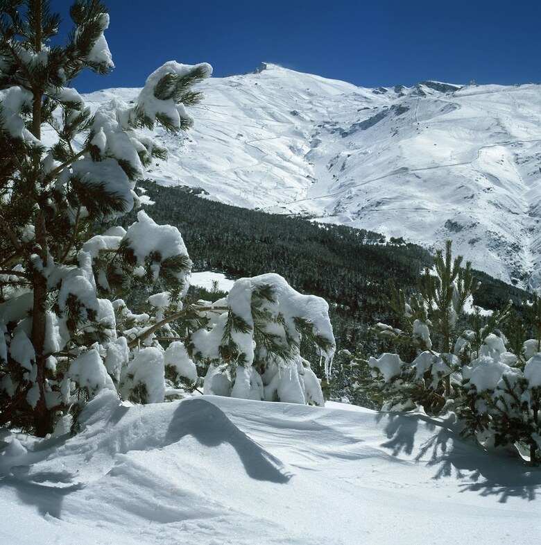 Hotel Snow Comfort Edificio Monte Gorbea