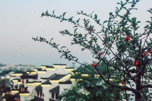 Fuzimiao International Youth Hostel