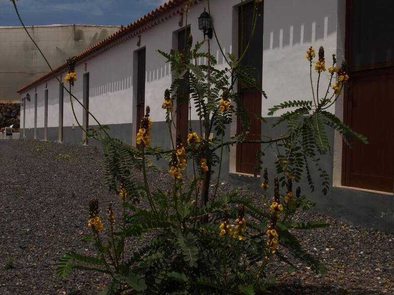 Hostal Albergue Rural La Ca�ada