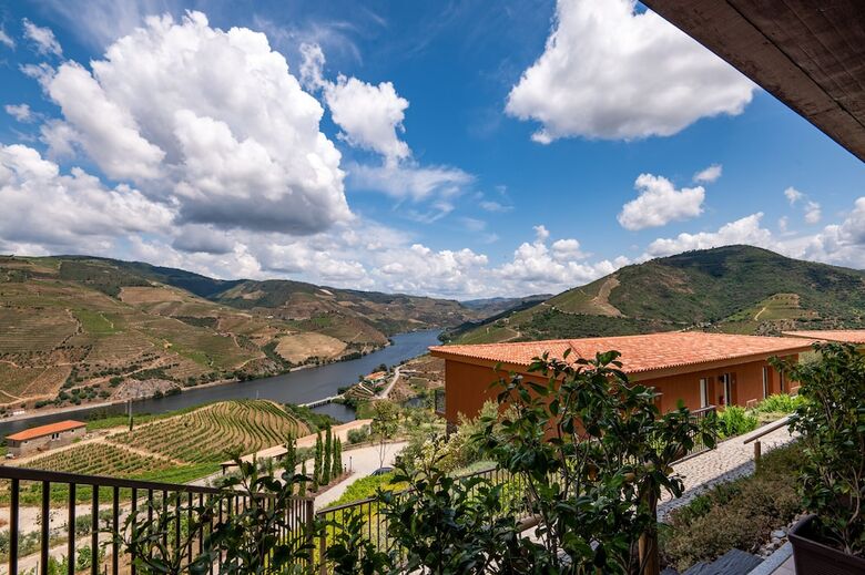 Agroturismo Vila Gale Douro Vineyards Hotel