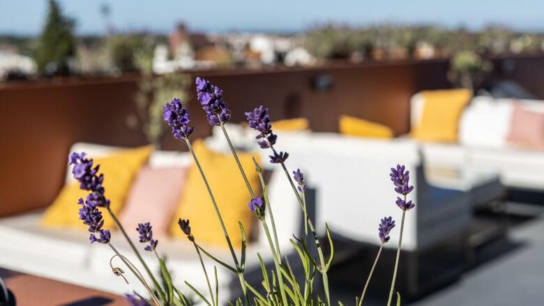 Vitoria Stone Hotel