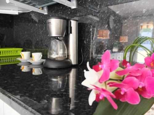 Apartamento Appartement Palm Beach Cannes