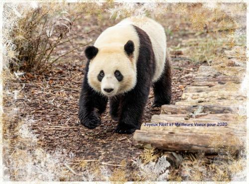 B&B Hakuna Matata