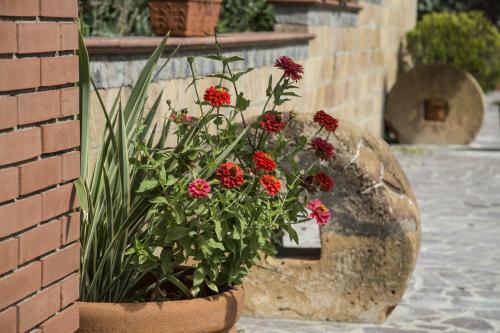 Bed & Breakfast La Dimora Di Samu
