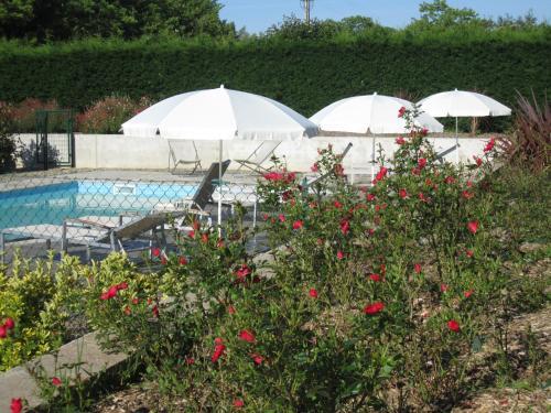 Bed & Breakfast Manoir Th�as