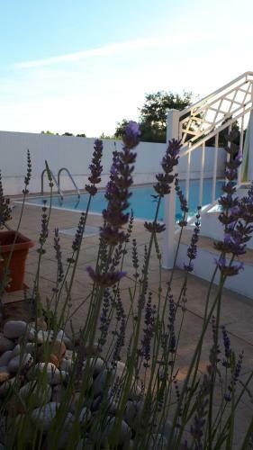 Hostal Guest House Aldeia