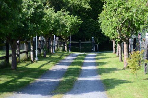 Bed & Breakfast Le Pr� Aux Daims