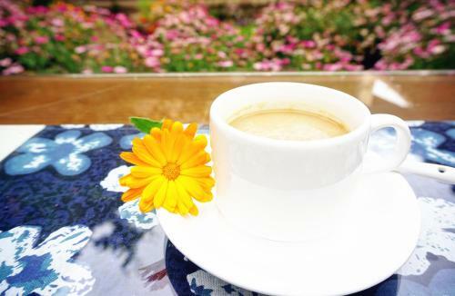Hostal Shaxi Miss May Hotel