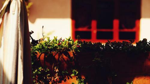 Hostal Shaxi Miss May Hotel