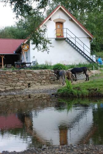 Agroturismo Biofarma Dolej?� Ml�n