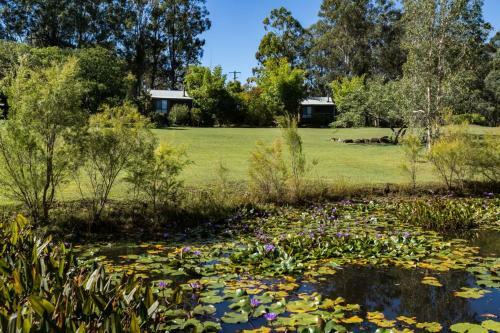 Bed & Breakfast Tuckeroo Cottages & Gardens
