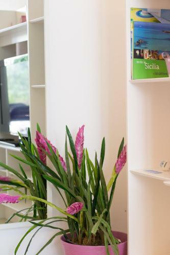 Apartamento Mondello Suites
