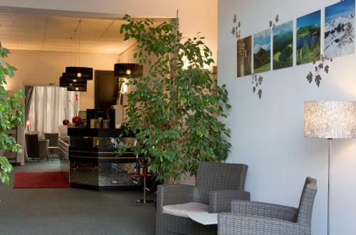 Hotel Logis Le Pariou - Le Jardin