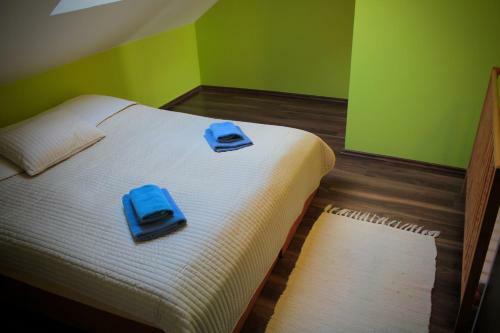Hostal Ubytovani Nikol