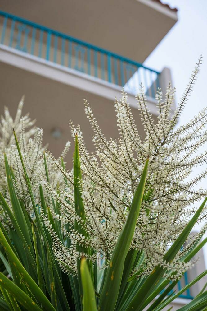 Aparthotel Kyveli Hotel Apartments