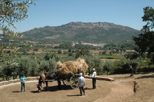 Hostal Quinta Do Vaqueirinho - Agro-turismo