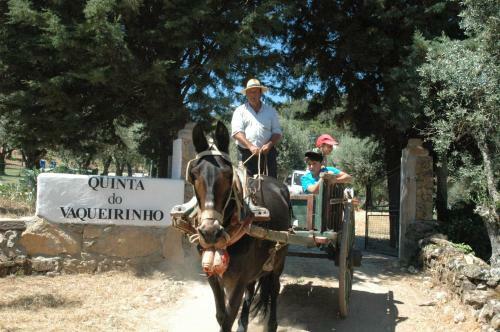 Hostal Quinta Do Vaqueirinho - Agro-turismo