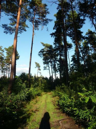 Gospodarstwo Agroturystyczne Le?nicz�wka