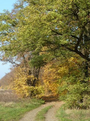 Gospodarstwo Agroturystyczne Le?nicz�wka