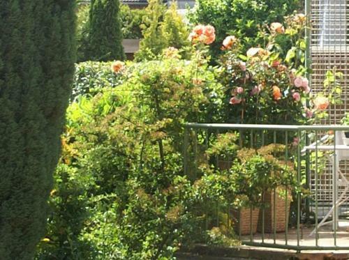 Apartamento Ferienwohnung Carpe Diem