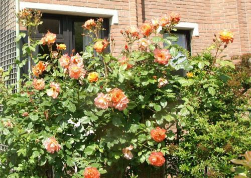 Apartamento Ferienwohnung Carpe Diem