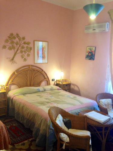 Bed & Breakfast George King
