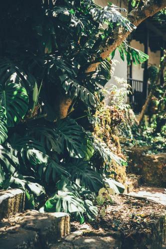 Hotel Hacienda Baza