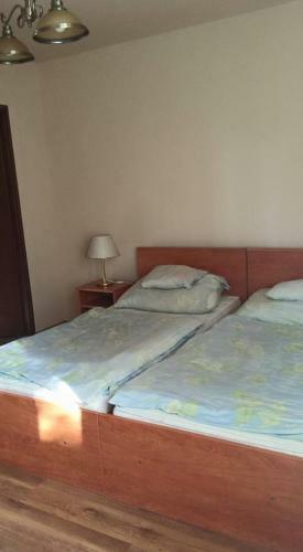 Hostal Borosty�nkert �tterem & Vend�gh�z