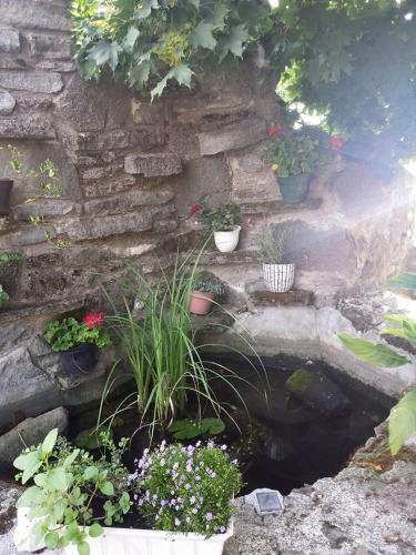 Hostal Borosty�nkert �tterem & Vend�gh�z